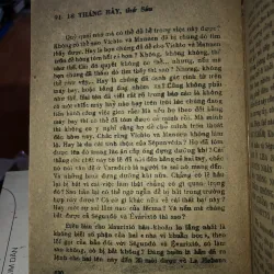 Bóng chim câu trên sóng biển Maiami - Danien Chavaria 789050