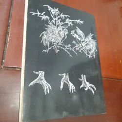 Bí quyết CHỌN VÀ NUÔI GÀ ĐÁ 540703