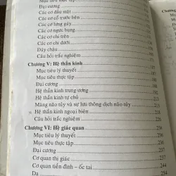 Giản yếu Giải phẫu người -NGUYỄN QUANG QUYỀN,PHẠM ĐĂNG DIỆU NGUYỄN VĂN ĐỨC NGUYỄN V. CƯỜNG 792205