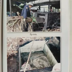 NGHỀ NẤU MÍA ĐƯỜNG THỦ CÔNG TRUYỀN THỐNG Ở VĨNH CỬU 975490