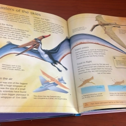 PICTURE BOOK Dinosaurs 536662