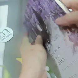 Anh Không Muốn Để Em Một Mình - Diệp Lạc Vô Tâm 744746