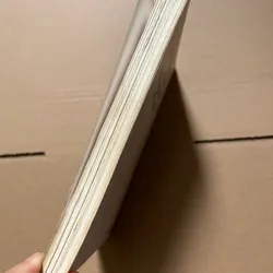 Bảo Đại vị vua triều Nguyễn cuối cùng 703333