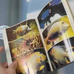 [XƯA] Thú Chơi Cá Kiểng Xưa Và Nay (1996) - Việt Chương 775981