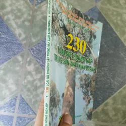 230 loài gỗ thường gặp trong sản xuất kinh doanh - Nguyễn Hồng Đảng 793158