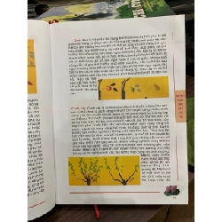 Phong thủy cho bạn gái trẻ tố nữ trạch kinh - Minh Đường 730914