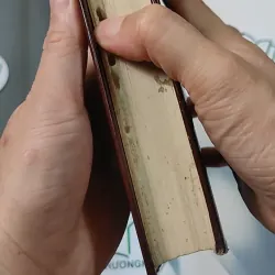 [MIỄN PHÍ BỌC SÁCH] Mordern Kazakh Stories: The Voice Of The Steppe - Isaak Kramov 749409