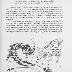 ЛЕТЯЩИЕ К СЕВЕРУ (Bay về phương Bắc) 17546