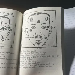 Tướng Mệnh Khảo Luận 753089