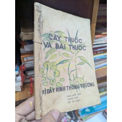 CÂY THUỐC VÀ BÀI THUỐC TRỊ BẢY BỆNH THÔNG THƯỜNG