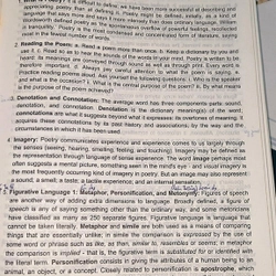 GIÁO TRÌNH VĂN CHƯƠNG MỸ - A COURSE IN AMERICAN LITERATURE - NXB Đại học Quốc gia TP HCM 496256