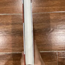 Cuộc đời của luận sư RAJNEESH CHANDRA (10) 715337