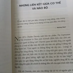 SANG CHẤN TÂM LÝ, HIỂU ĐỂ CHỮA LÀNH - LÊ PHAN NHƯ QUỲNH 744857