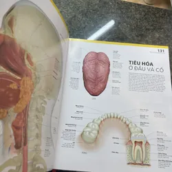 Atlas giải phẫu cơ thể người Bs Alice Roberts 680876