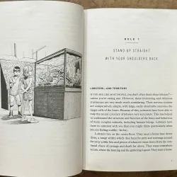 12 Rules for Life: An Antidote to Chaos - Jordan B. Peterson (Penguin) 734907