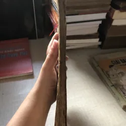 Chương trình thăng tiến Ngành thiếu 971344