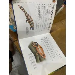 Bulletpoints about Animals