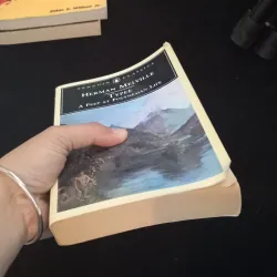 A peep at Polynesian Life 966200