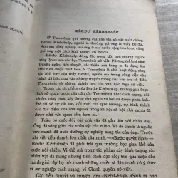 Hạt nước hạt vàng 786807