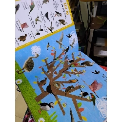 Từ điển bằng hình cho trẻ mầm non trốn tìm động vật mới 90% sách màu MẸ VÀ BÉ HCM1709 924230