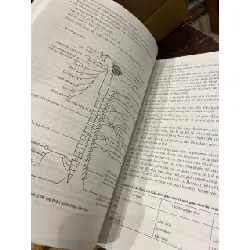 Sinh học cơ thể động vật - Trịnh Hữu Hằng chủ biên 696916