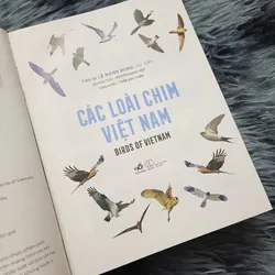 Các loài chim Việt Nam (Lê Mạnh Hùng) 736184