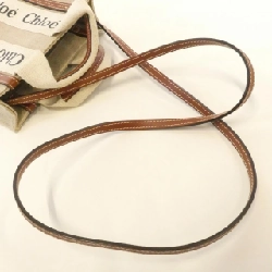 Túi xách mini Woody Chloe CHC22AP237 I26 - Hàng hiệu Authentic 765011