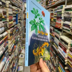 Sâm ngọc linh nguồn dược liệu quý và giải pháp giảm nghèo bền vững. 563956