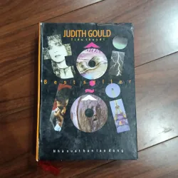 Tội lỗi - Judith Gould