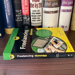 Freelancing For Dummies 160171