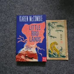 Little bird lands - karen mccombie