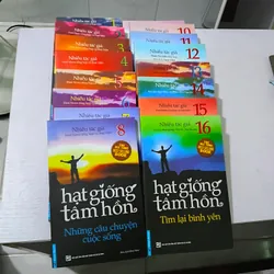 Sách Hạt giống tâm hồn - Bộ 16 quyển như hình 740996