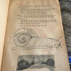 Vạn vật Học  lop 7. (Sách in năm 1971) 571226