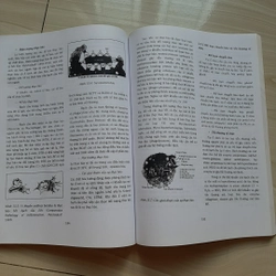 Cuốn photo MIẾN DỊCH - SINH LÝ BỆNH 325847
