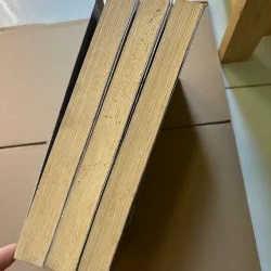 Ashfall Tàn tro 3 tập - Ashen Winter 929763