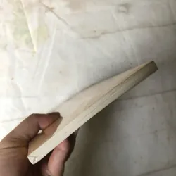 Đại Bàng Có Khi Bay Thấp Hơn Gà - Trương Thiết Thành 757226