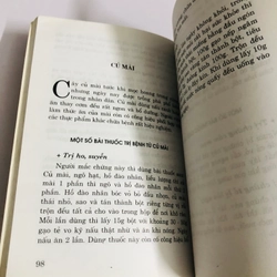 CHỮA BỆNH BẰNG CÂY THUỐC NAM  544965