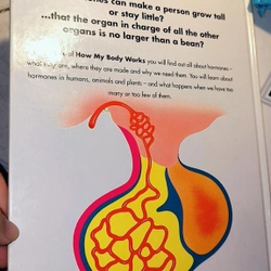 Sách tiếng Anh cho trẻ tìm hiểu về hormones - series How my body works 501693