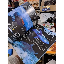 Bách Khoa Tri Thức Về Khám Phá Thế Giới Cho Trẻ Em - Cá Mập - Jonathan Sheikh-Miller - - MẸ VÀ BÉ - HCM3012 749912