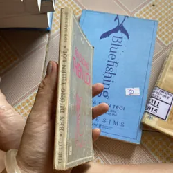 Bên đường thiên lôi 592887