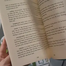 Hạnh Phúc Đến Từ Sự Biến Mất - Ajahn Brahm 961190