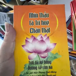 NHÌN THẤU LÀ TRÍ TUỆ CHÂN THẬT - MINI