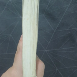 "Thiếu nữ đánh cờ vây" - Sơn Táp 476690