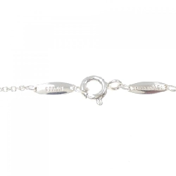 Dây chuyền Tiffany By The Yard - Hàng hiệu Authentic 840278