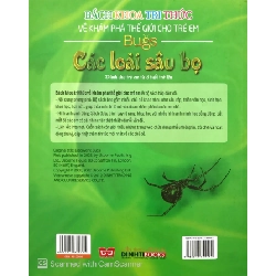 Bách Khoa Tri Thức Về Khám Phá Thế Giới Cho Trẻ Em - Các Loài Sâu Bọ - Rosie Dickins 284048