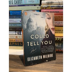 IF I COULD TELL YOU - Elizabeth Wilhide