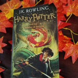 Harry Potter and the Chamber of Secrets paperback 