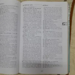 Từ điển Pháp luật Anh Việt 567604
