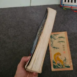 Chúng ta thoát thai từ đâu 745870