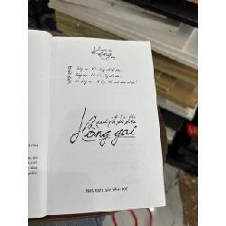 Hồng Gai - King 934378